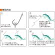 見える目通しループ　(No.81185)